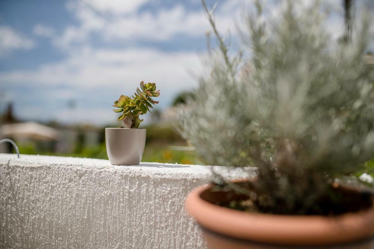 Apartman Jasmina Banjol Esterno foto
